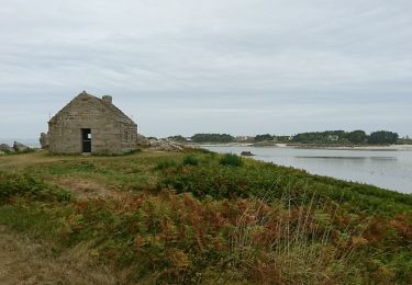 Randonnée A pied Guissény - Dibennou - Photo