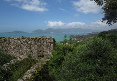 Trail Walking Lerici - Promenade au dessus du golfe des poètes - Photo