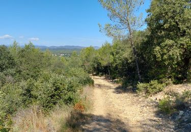 Trail Walking Aspères - tour asperes, st clement - Photo