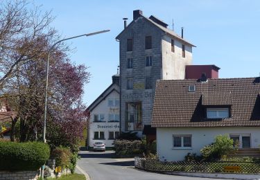 Percorso A piedi Ahorntal - Kleiner Ahorntal Rundweg - Photo