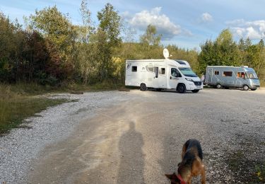 Tour Wandern Marigny - Marigny lac de CHALAIN 39130 - Photo