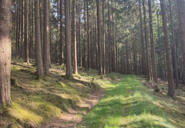 Tour Wandern Weinsheim - Weinsheim dag 2 - Photo