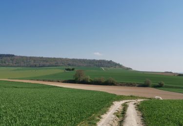 Trail Walking Mesnières-en-Bray - mesnieres croixdalle - Photo