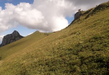 Tocht Stappen Doucy-en-Bauges - la dent des portes ... près du trelod, dans le massif des Bauges  - Photo