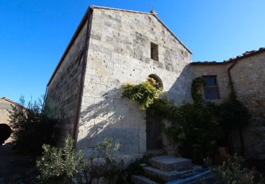 Tocht Te voet San Gimignano - IT-200 - Photo