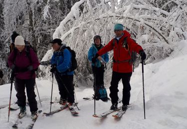 Tocht Ski randonnée Saint-Pierre-de-Chartreuse - arguille - Photo