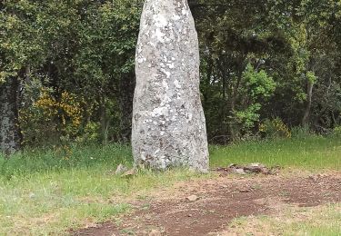 Tour Wandern Saint-Roman-de-Codières - St Roman de Codiere - Photo