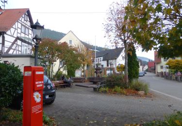 Trail On foot Lug - Geiersteine-Tour - Photo