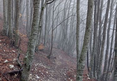 Trail Walking Bédoin - Tempête sur les Crêtes  - Photo