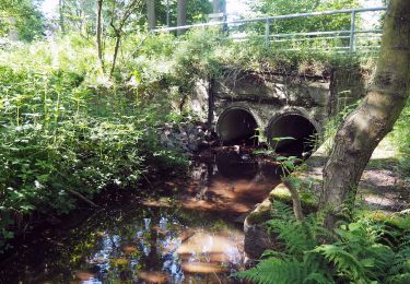 Trail On foot Munster - Fischeweg - Photo