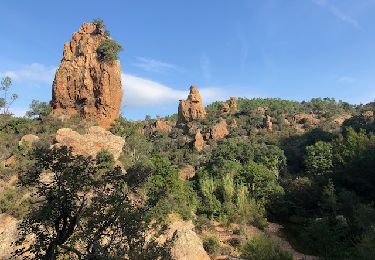 Tour Wandern Saint-Raphaël - Balade autour du Pain de Sucre - Baisse de la Grosse Vache - Photo