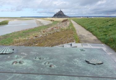 Tocht Stappen Le Mont-Saint-Michel - GR_34_AA_01_Mt-St-Michel_St-Marcan_20230318 - Photo