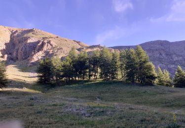 Tocht Stappen Allos - Mont Pelat-Lac du Trou de l'Aigle-Tour du Lac d'Allos - Photo