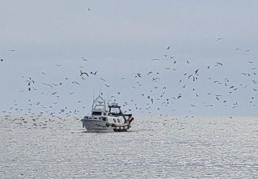 Excursión Senderismo Vélez-Málaga - Wikiloc - Caleta de Vélez - Photo