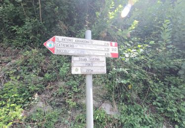 Tour Zu Fuß Val Brembilla - Sentiero 592: Ponti di S. Antonio - Roccoli Spadì, Strada Taverna - Photo