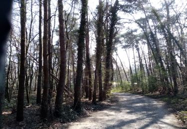 Randonnée Marche nordique Belœil - Stambruges 27 mars  - Photo