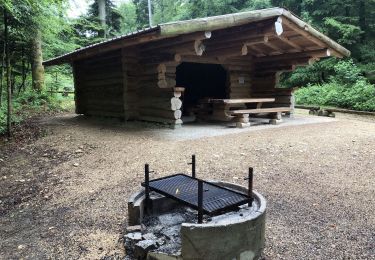 Tour Wandern Ligsdorf - Birgmatt - Photo
