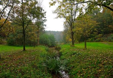 Excursión A pie Bad Helmstedt - Lappwald Rundwanderweg 4 - Photo