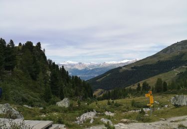 Randonnée Marche Anniviers - weisshorn - Photo