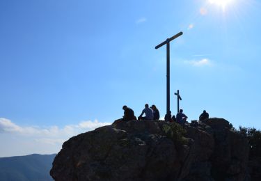 Trail Walking Roquebrune-sur-Argens - Cimetière Roquebrune / Argens - La Maurette - 3 Croix - Grotte de l'Ermite - Photo