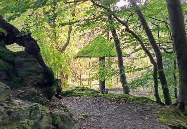 Trail Walking Spa - spa . marteau . frahinfaz . balmoral . thermes. spa - Photo