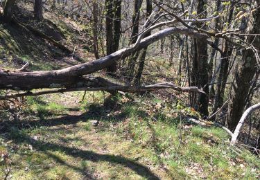Tocht Stappen Glun - Glun  - Photo
