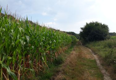 Trail Walking Durbuy - TOUR FAMENNE 1 - Photo