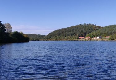 Trail Horseback riding Reipertswiller - 2019-10-12 Rando CVA Reipertswiller vers Lichtenberg - Photo