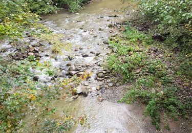 Tocht Stappen Menthonnex-en-Bornes - Massif des Bornes_04-10-2020 - Photo