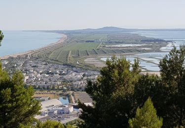 Percorso Bici ibrida Sète - Ballade autour du Mont Saint-Clair - Photo