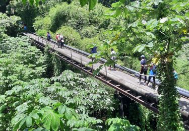 Tour Wandern Basse-Pointe - boucle basse pointe - Photo