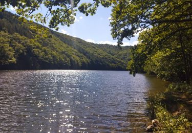 Randonnée Course à pied Fridefont - La Mourache  - Photo