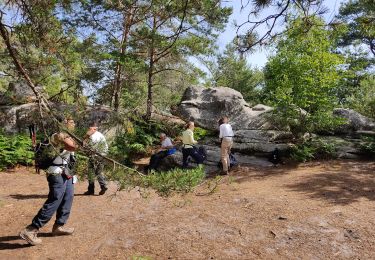 Randonnée Marche Fontainebleau - Le mont aigu  - Photo