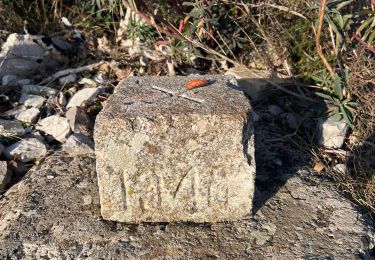 Randonnée Marche Lussas - Jastre - Photo