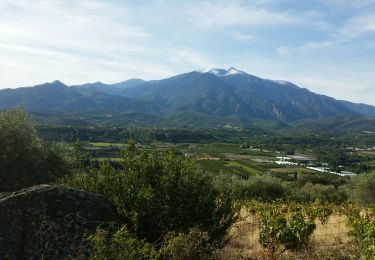 Excursión Bici de montaña Eus - Eus Comes - Photo