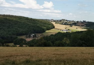 Excursión Bici de montaña Yvoir - GODINNE ... par le 