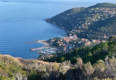 Trail Walking Théoule-sur-Mer - Theoule - Photo