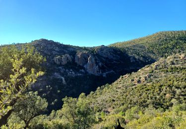 Trail Walking Fréjus - Mont Vinaigre depuis Colle Douce - Photo