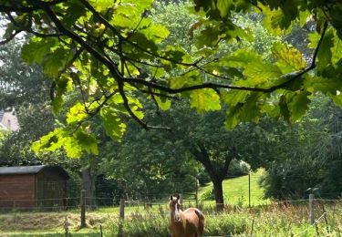 Trail Walking Ittre - #230717 - Virginal-Samme, Ardennes et Grand Bois, dont 2,5 km du GRP 127 - Photo