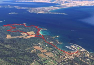 Trail Walking Hyères - Ile de Porquerolles - Photo