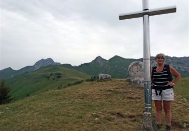 Randonnée Marche Jarsy - BAUGES: PRECHEREL - CROIX D'ALLANT - PLAN DE LA LIMACE - en direction du Mont de la Coche - Photo