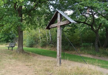 Tour Zu Fuß Mechernich - EifelSchleife Altusknipp-Weg - Photo