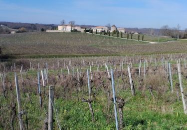 Excursión Senderismo Vérac - Vérac et le Tertre de Thouil - Photo