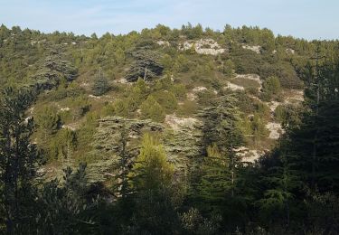 Tour Wandern Lagnes - Lagnes Tête du Soldat Mur de la peste Esperacons  - Photo