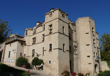 Excursión A pie Volonne - Tour du Lac - Photo