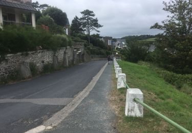 Tour Wandern Barneville-Carteret - 2021-08-18 CORNICHE DE CARTERET  - Photo