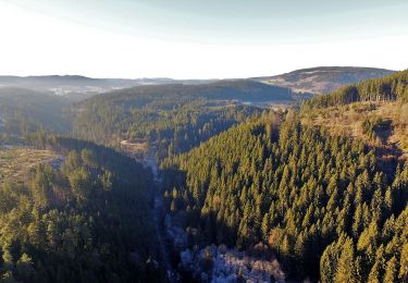 Tocht Te voet Lenzkirch - Gutachtal - Photo