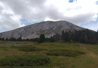 Percorso Marcia Saint-Agnan-en-Vercors - 38 Grand Veymont par le plateau - Photo