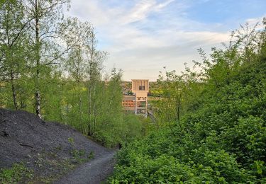 Trail Walking Blegny - Blegny et ses campagnes 🥾 - Photo
