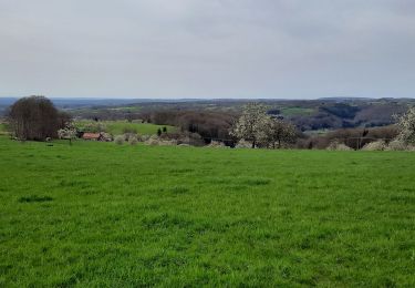 Randonnée Marche Fougerolles-Saint-Valbert - Fougeroles - Photo